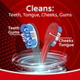 thumbnail image 5 of Colgate 360 Vibrate Whitening Battery Powered Electric Toothbrush, Medium, 2 Pack, 5 of 14