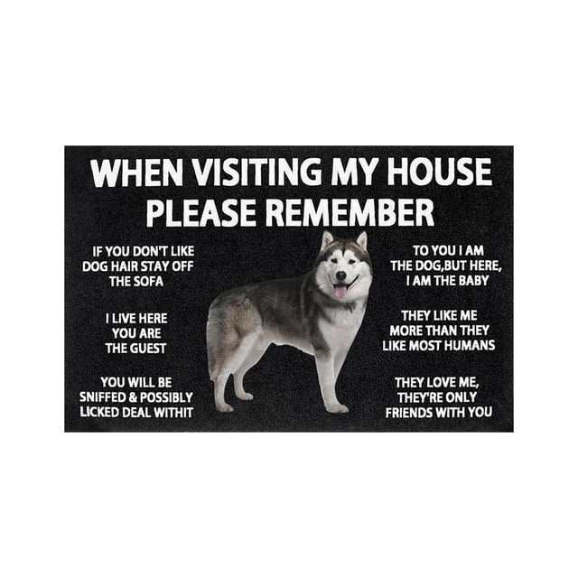 zhangmingg Indoor and Outdoor Welcome Mat Non- Entrance Rug for Easy Clean Home Floor