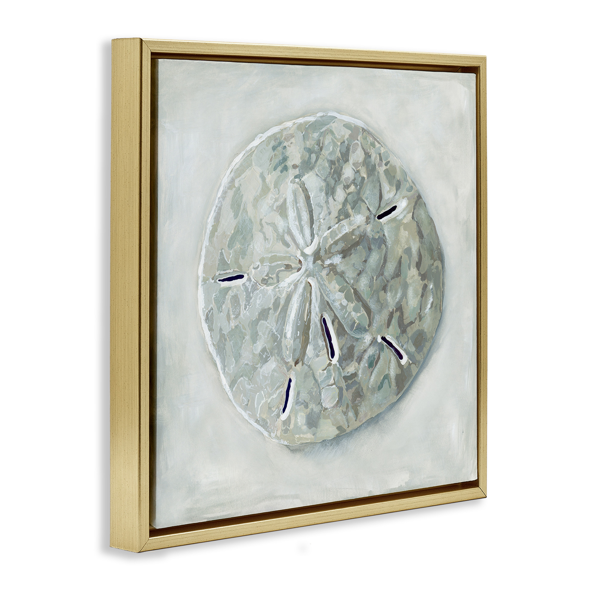 Stupell Industries Grey Sand Dollar Seashell Nature Painting Gold Floater Framed Canvas Art Print Wall Art, 25 x 25