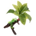 thumbnail image 1 of Paisajismo Decoracion Accesoiros de Acuario Decorativo Resistente Raíces de brotes QL2127 Sunnimix Reptiles acuáticos, 1 of 8