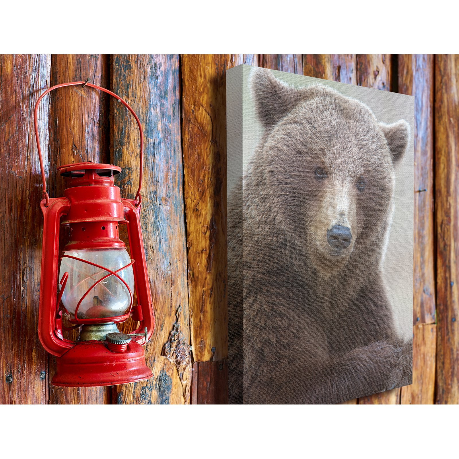 The Stupell Home Decor Collection Most Interesting Bear Wall Art