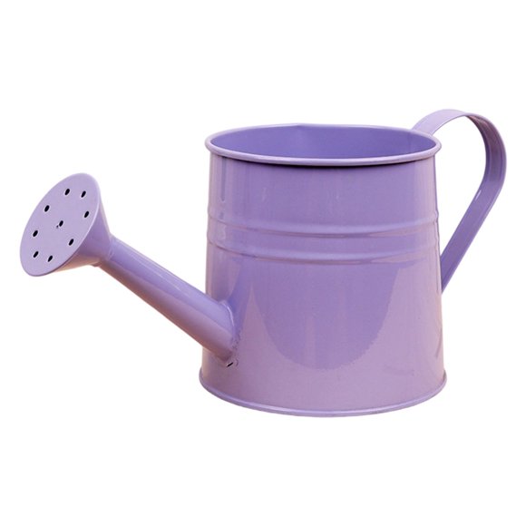 Regadera pequeña para interiores Mini regadera para casa con H le para interiores y exteriores Jardín Hogar Regadera con boquilla delgada para riego suave Recipiente compacto y ligero para