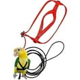 thumbnail image 4 of Pet Parrot Bird Harness Leash Adjustable Bird Flying Harness Traction Rope With Cute Wing For Parrots Outdoor Training Toy Z, 4 of 4