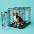 thumbnail image 3 of Vibrant Life Wire Dog Crate, Double-Door, Divider and Leak-Proof Tray, Metal, Foldable, Durable, Black, 36 in, 3 of 10