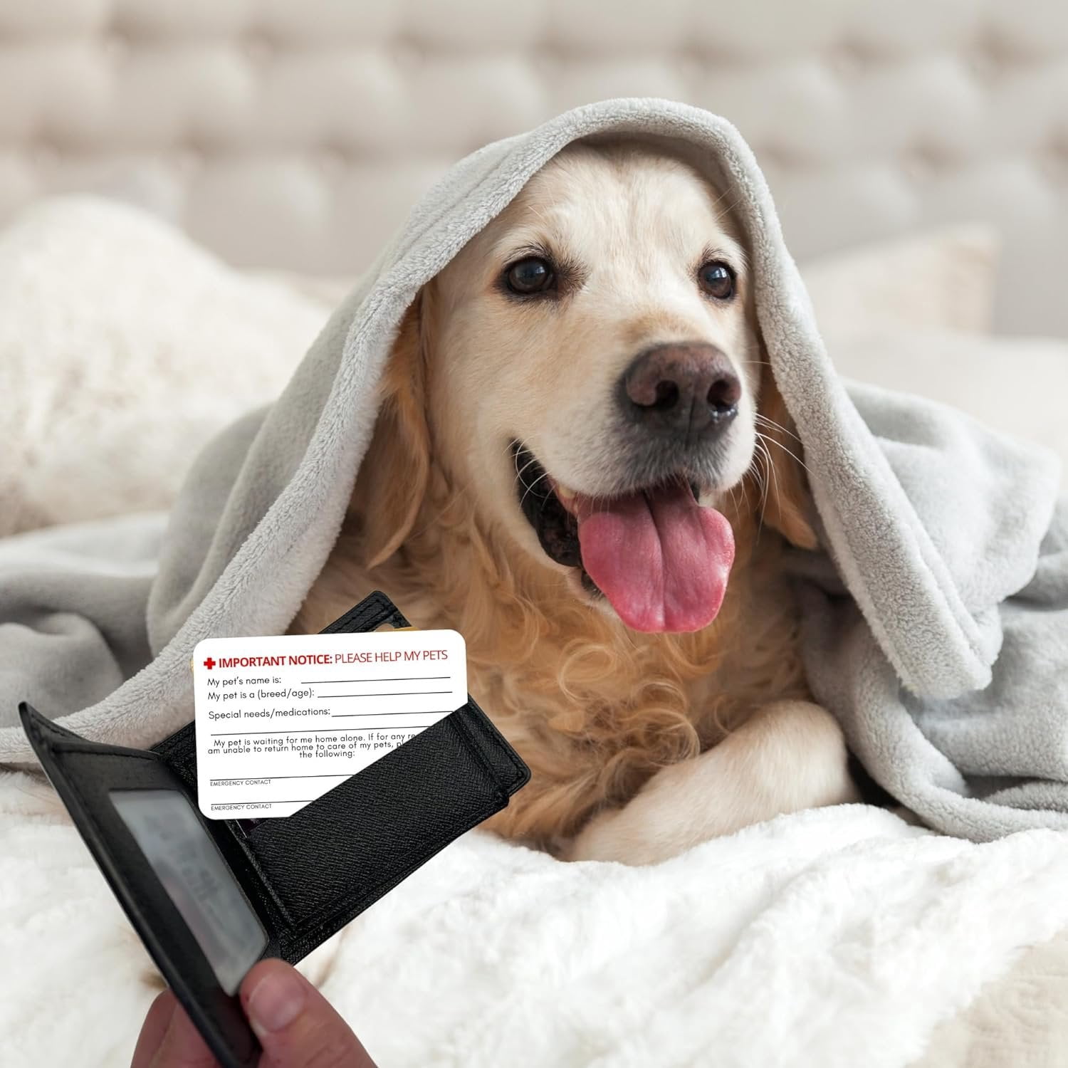 Llavero Con Tarjeta De Emergencias Para Mascotas | Acrílico, Información De Contacto | Para Collar O Llavero | Alerta En Caso De Emergencia En El Hogar