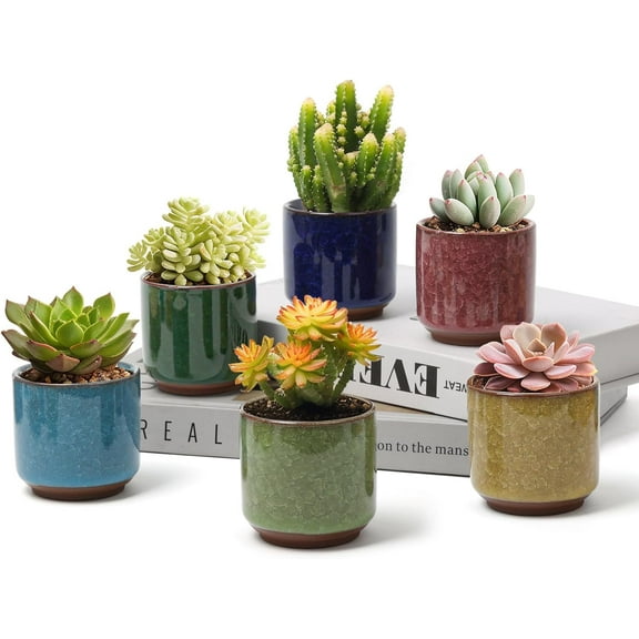 2.5 Inch Small Ceramic Succulent Planter Pot with Drainage Hole , Ice Crack Glaze Plant Container for Cactus, Succulent Plant Gifts for Women Mom Aunt Home Office Decor