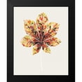 thumbnail image 2 of Popp, Grace 12x14 Black Modern Framed Museum Art Print Titled - Fall Mosaic Leaf IV, 2 of 5
