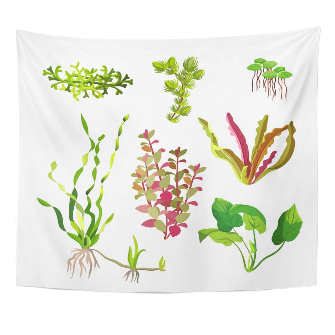 ZEALGNED Aquarium Plants Cartoon Underwater Algae Seaweed Natural Grass ...