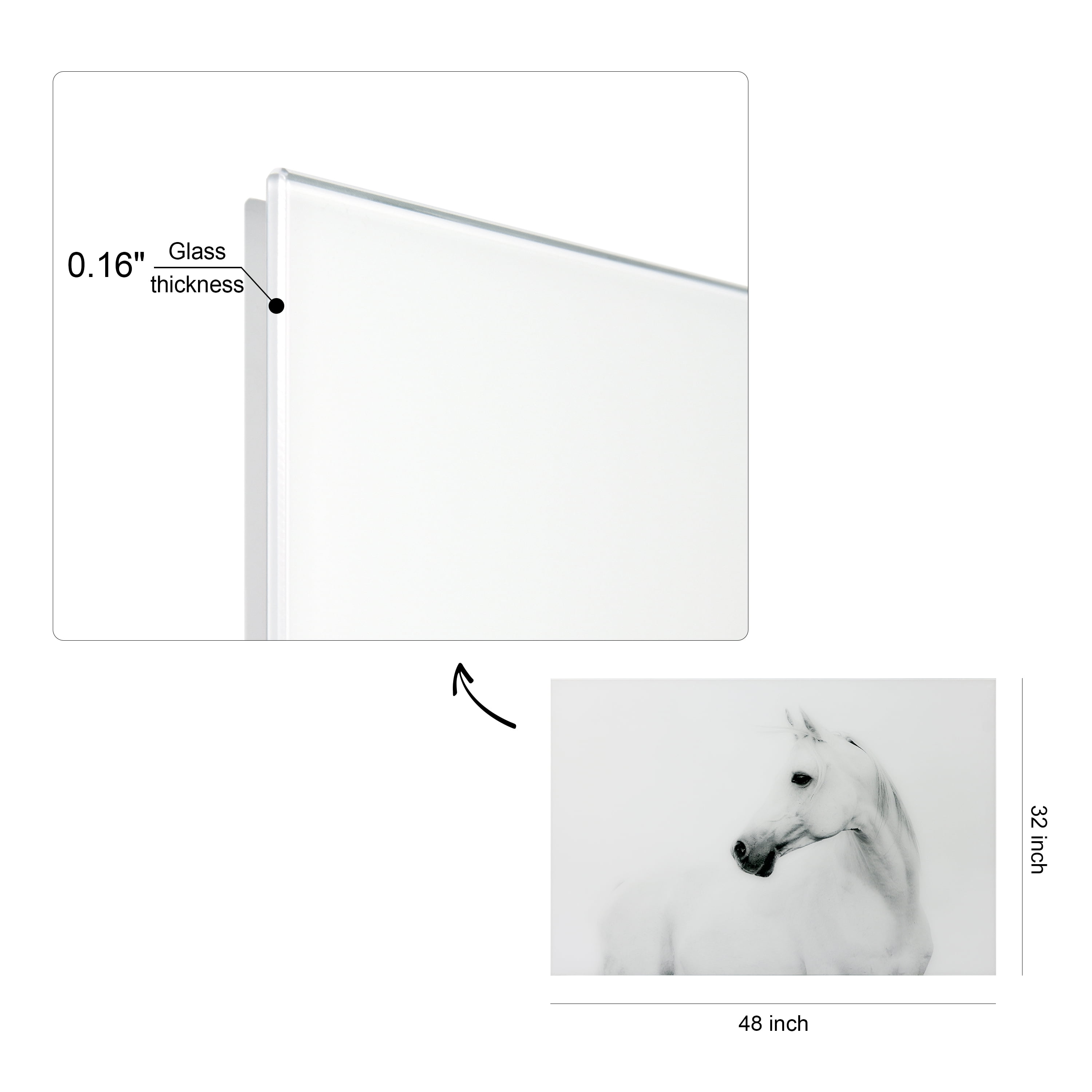 Empire Art Direct Blanco Stallion Horse Frameless Free Floating Tempered Glass Panel Graphic Wall Art, 48" x 32" x 0.2", Ready to Hang