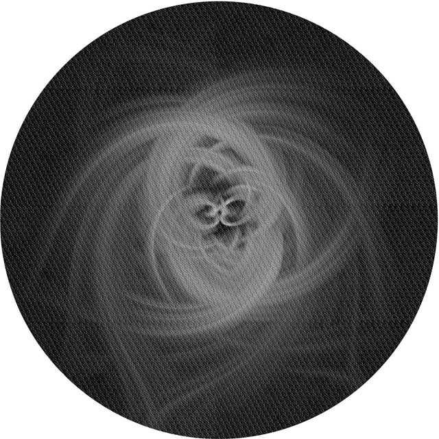 Ahgly Company Tapis Rond Lavable en Machine Intérieur Transitionnel Gris Minuit, 3 Pieds Rond