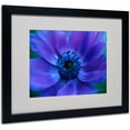 thumbnail image 1 of Trademark Fine Art 'Beautiful Anemone' Matted Framed Art by Kathy Yates, 1 of 2