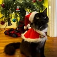 thumbnail image 4 of Dog Cat Christmas Costume Set, Bell Cloak and Santa Hat, Composite Fabric Festive Outfit, Winter Holiday Dress Up for Party, Perfect for All Breeds Red M, 4 of 8
