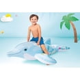 thumbnail image 5 of Ride-On Dolphin Buoy, 5 of 5