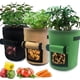 thumbnail image 1 of VANUODA - Paquete de 3 bolsas de cultivo de patatas, cajas de jardín, camas de bolsas de cultivo de plantas de jardín, contenedores de cultivo de tomate, zanahoria y verduras con asa de ventana con orificio inferior abatible para promover el crecimiento de raíces (7 galones) Ormromra WMZL-311-2, 1 of 6
