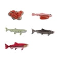 thumbnail image 2 of DPTALR 4 Piece Insect Figure Animal Life Cycle Plastic Brood To Mature Period, 2 of 6