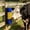 Blue, variant on Livestock Scratching Brush Heavy Duty Horse Grooming Massage Brush Wall Mount Itch Relief Comb for Farm Animals in Stables and Outdoors