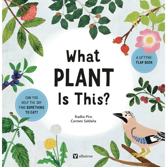 Stories from Nature What Plant Is This?, Book 4, (Board Book)