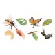 thumbnail image 1 of Juguetes de aprendizaje Strade Fareast Limited ciclo de vida de los animales Estilo A, 1 of 5