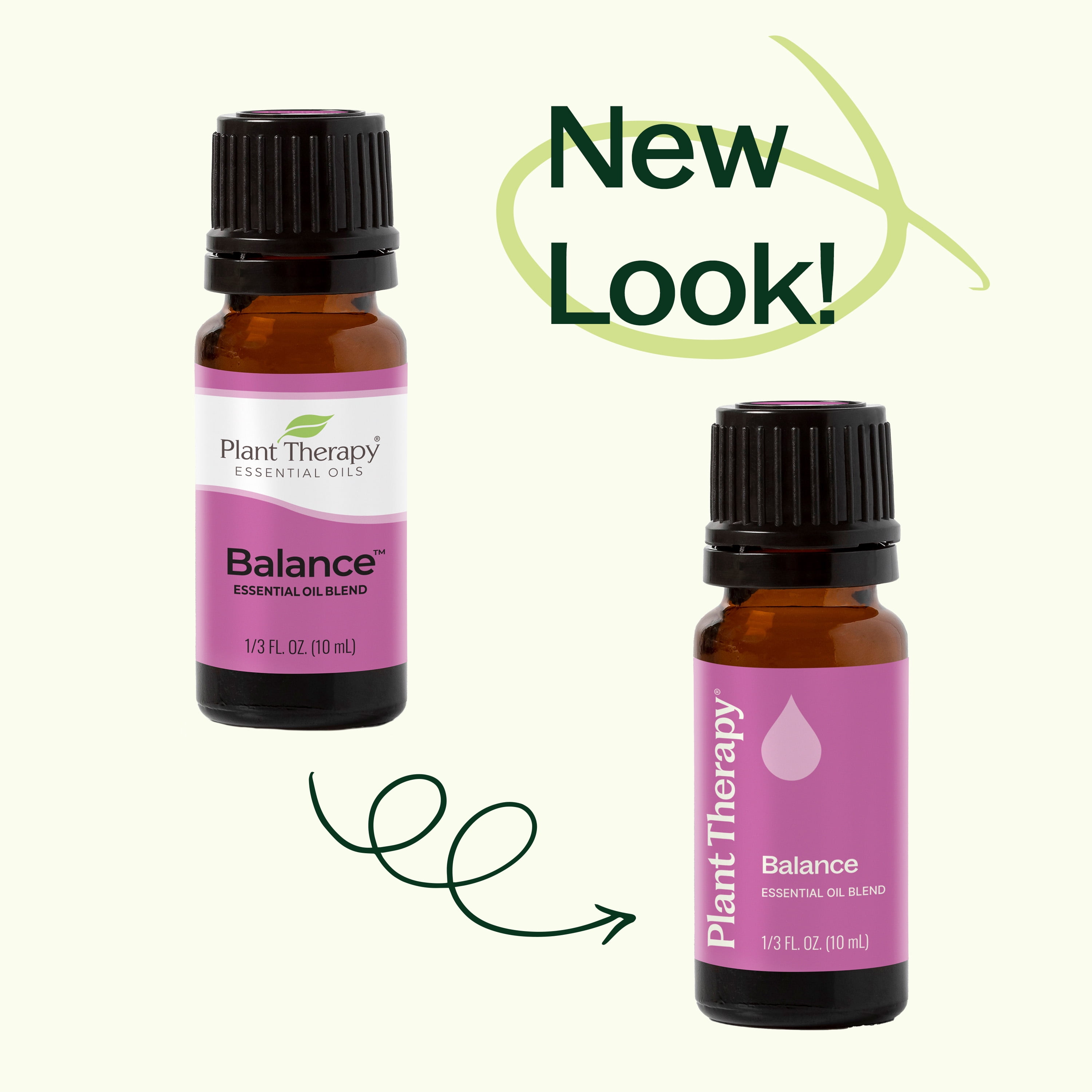 Plant Therapy Balance Essential Oil Blend 10 mL (1/3 oz) 100% Pure, Undiluted, Natural Aromatherapy