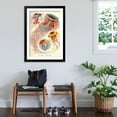 thumbnail image 3 of Art.com Jelly Fish Art Print by Ernst Haeckel, Black Frame Wall Art, 32" x 44", 3 of 5