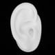 thumbnail image 2 of Modèle d'oreille artificielle en silicone pour prothèses tives (oreille droite), 2 of 4