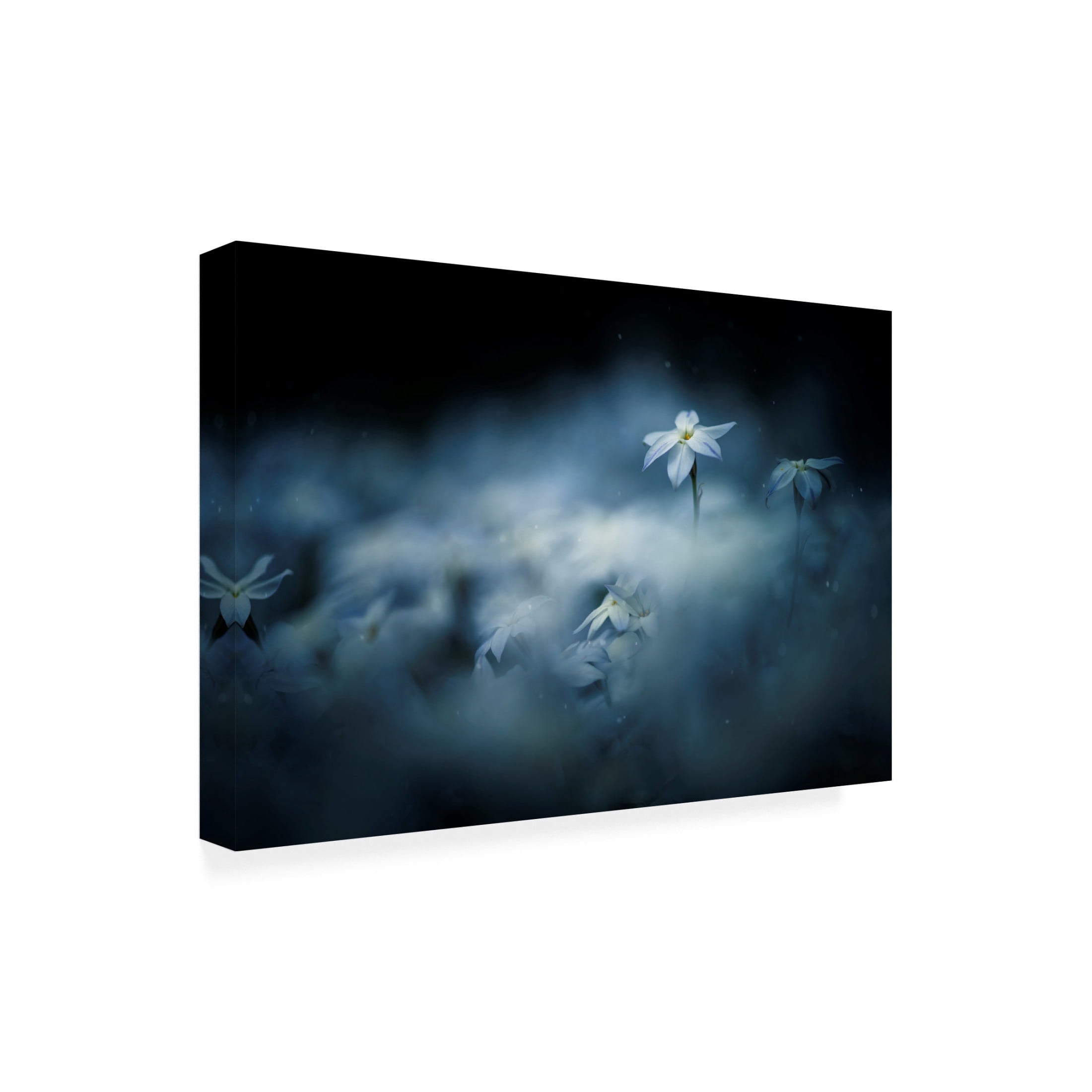 Canvas Wall Art - Takashi Suzuki 'Spring Glow' Wall Art for Living Room, Bedroom, or Office D?cor by Trademark Fine Art - 24 x 16 Inches