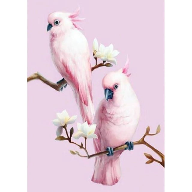 Taladro Diamante Pintura (DE4179) 5D DIY Completo Pájaro Bordado Mosaico Craft Kit (WX049) 30x40cm FLhrweasw Nuevo