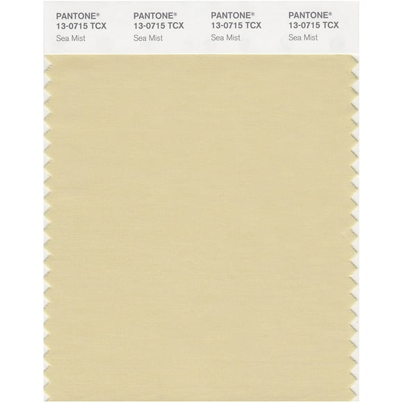PANTONE SMART 13-0715X Color Swatch Card, Sea Mist