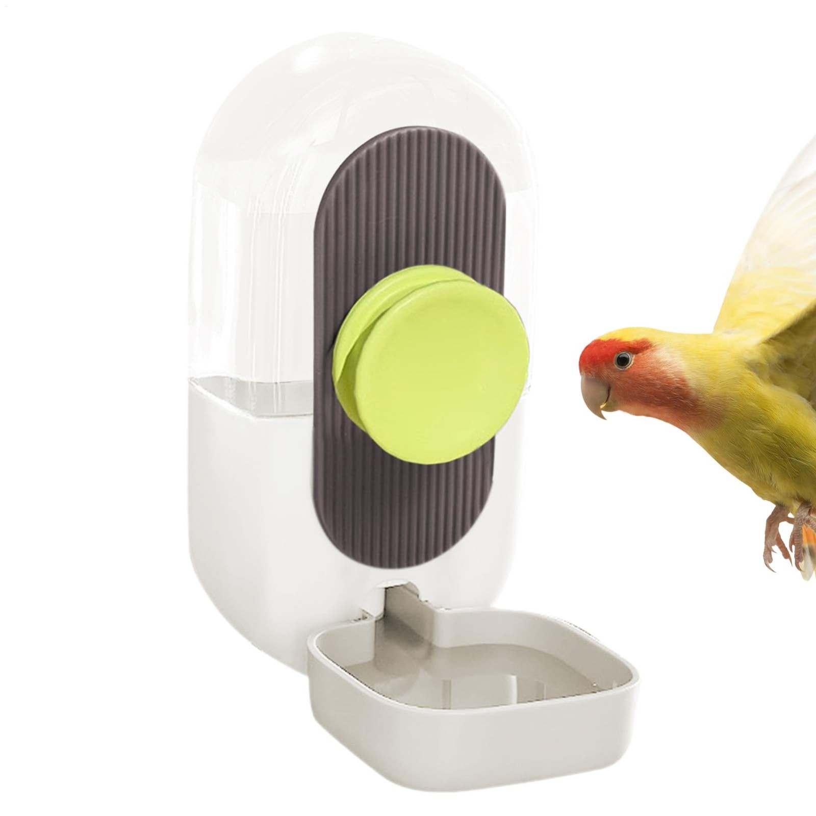 LYINGF Automatic Bird Water Feeder for Cage, Parrot Water Dispenser Cage Accessories for Lovebirds and Budgies, Easy to Install and Clean for Consistent Pet Bird Hydration