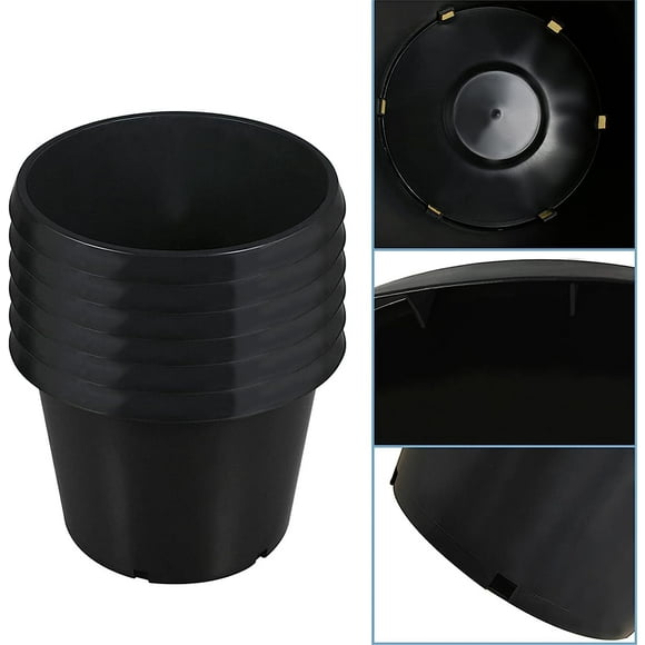 20 Gallon Pots Plants