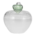 thumbnail image 3 of Weather Glass Weather Forecaster Weather decorative office Station Liquid Barometer Weather Predictor, 3 of 9