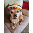 thumbnail image 5 of Crazy Night Mini Sombrero Top Hat Headband Tiny Straw Hat Small Sombreros for Dog Cat,Mexican Fiesta Birthday Party Supplies Table Decoration, 5 of 7