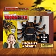 thumbnail image 7 of ArtCreativity Remote Control Spider, Includes 1 Tarantula & 1 Controller, Spooky RC Spider Prank Toy with 8 Individually Moving Legs, Furry Texture, and Light Up Eyes, Great Halloween Toy for Kids, 7 of 7