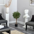 thumbnail image 3 of Nearly Natural 3.5' Olive Artificial Tree, 3 of 4