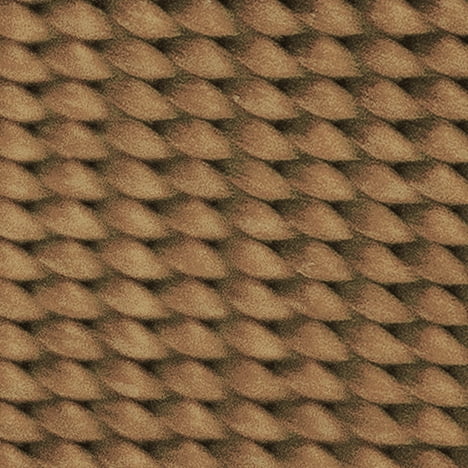 Coyote Tan