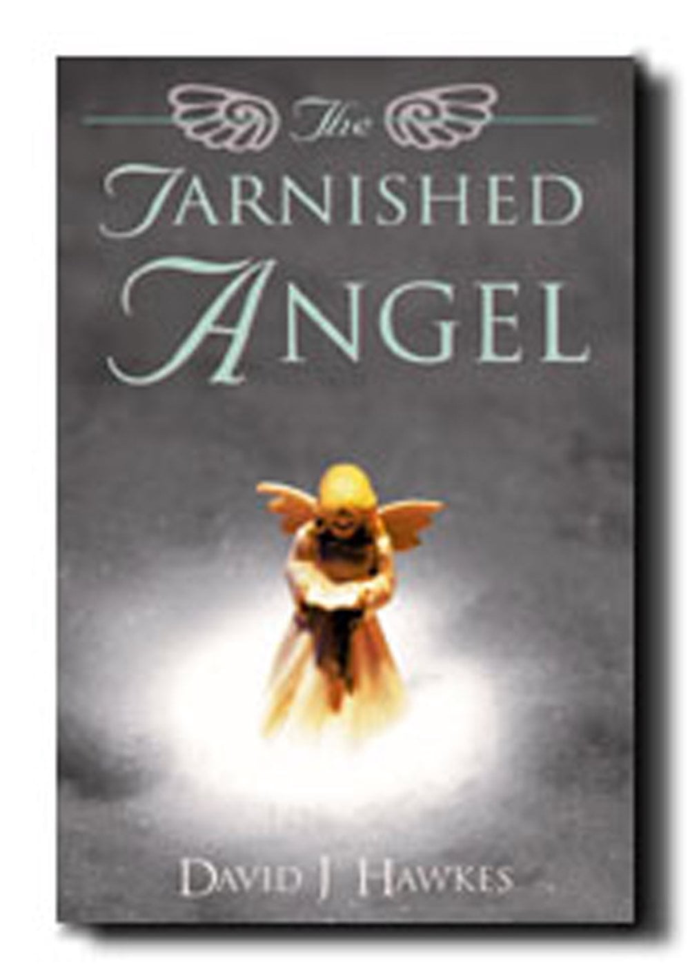 The Tarnished Angel, (Paperback)
