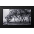 thumbnail image 2 of Tiger Seo 24x15 Black Modern Wood Framed Wall Art Titled - Always, 2 of 5