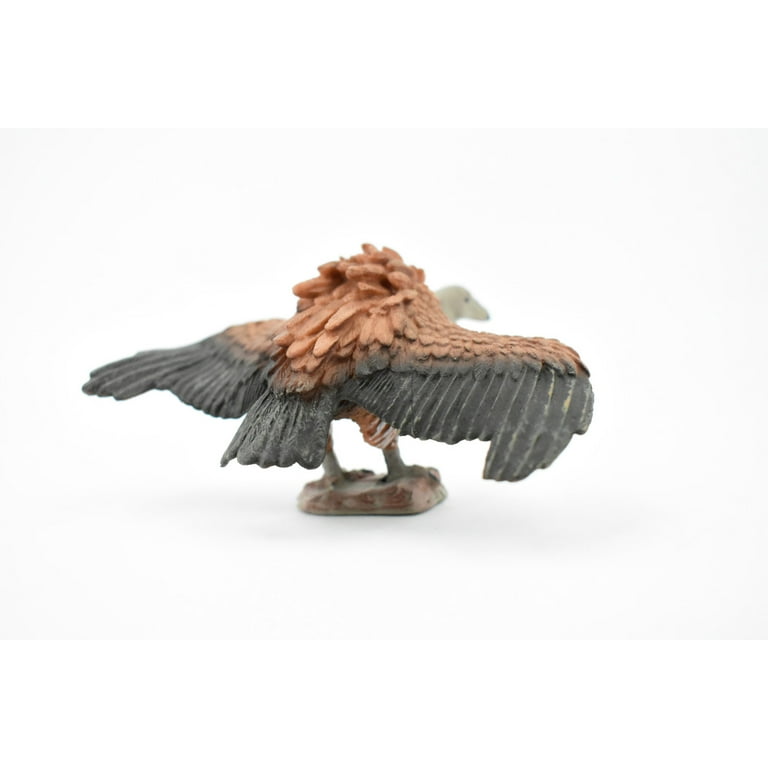 ビリヤードキューVULTURE 1982,Buzzard Print,Bob Kuhn,African White Vulture,144/777