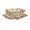 Gold, variant on 2 Pack Glass Fruit Bowls, Vegetable Fruit Plate for Kitchen Counter Table, Modern Creative Stylish Candy Dish, Decorative Fruit Bowls for Home, Table Centerpieces