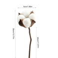 thumbnail image 3 of Artificial Cotton Stems Dried Cotton Flowers Faux Branches Farmhouse Rustic Floral Arrangement Vase Filler Wedding Home Table Decor Natural Style Decoration Living Room Shelf Accent, 3 of 6