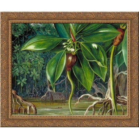 A Mangrove Swamp in Sarawak, Borneo 24x20 Gold Ornate Wood Framed Canvas Art by North, Marianne