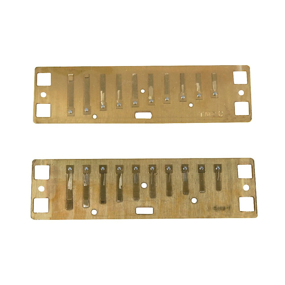 Lee Oskar Natural Minor Reed Plates A MINOR