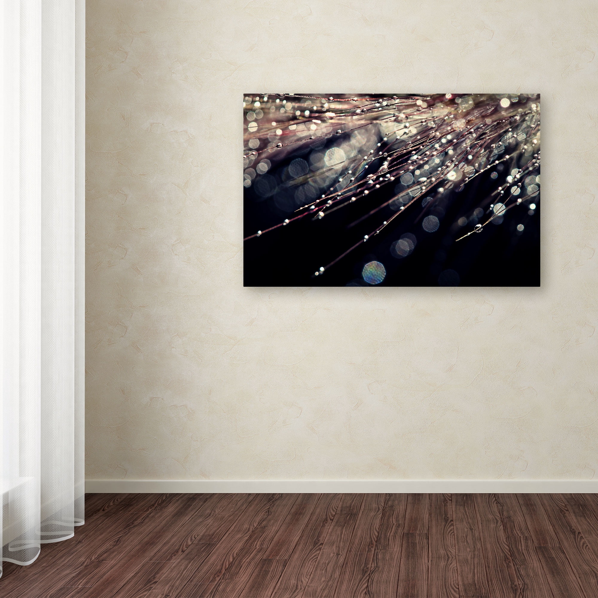 Trademark Fine Art "Little Wonders" Canvas Art by Beata Czyzowska Young