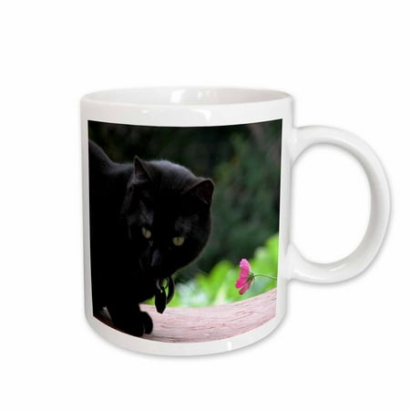 

3dRose Black Cat with Flower Ceramic Mug 11-ounce