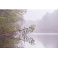 thumbnail image 2 of Jaynes Gallery 14x11 Black Ornate Wood Framed with Double Matting Museum Art Print Titled - USA-New Jersey-Pine Barrens National Preserve Foggy forest landscape reflects in lake, 2 of 4