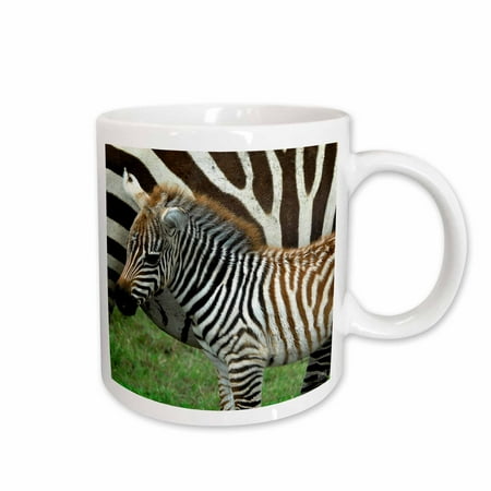 

3dRose Common zebra Kenya Africa 2 Ceramic Mug 11-ounce