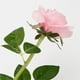 thumbnail image 5 of Solar Rose Lights Solar LED Garden Lights Solar Lights Garden Lights, 5 of 6