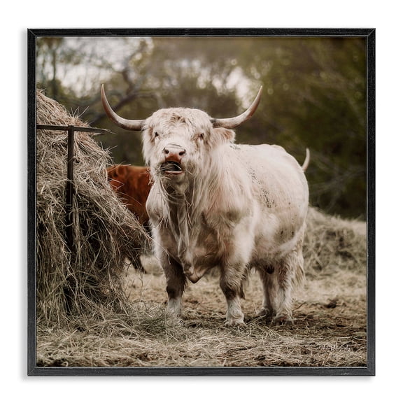 Stupell Industries Farmhouse Grazing Cattle Hay Bale Farm Black Framed Giclee Art, 12 x 12, by Dakota Diener