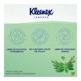 thumbnail image 2 of Jabón de tocador Kleenex cuidado relajante eucalipto, romero y menta 4 barras de 110 g c/u, 2 of 4