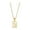 Capricorn, variant on PAURO Women's Stainless Steel Dainty Tiny 12 Constellation Symbols Shell Pendant Necklace Scorpio